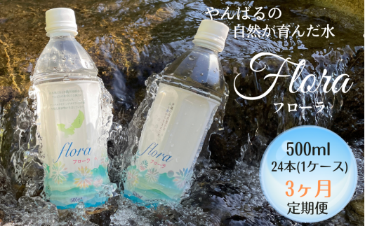 【3ヶ月定期便】やんばるの水 Flora【フローラ】500ml 24本