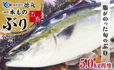 長崎県新上五島町の今が旬 上五島の海の幸 ふるさと納税 ふるさとチョイス