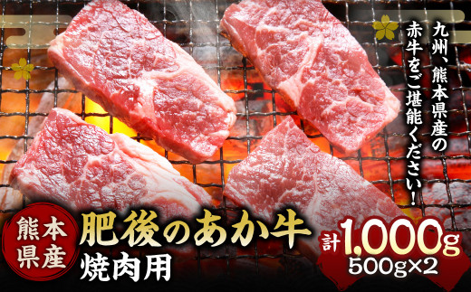 肥後のあか牛 焼肉用 1000ｇ 熊本県産和牛 G-6 牛肉 272777 - 熊本県水俣市