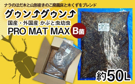 入荷しました Fy21 534 カブトムシ幼虫マット 土 Pro Mat Max B菌 約50l 約5l 10袋 直販大セール Calidadnewsite Uc Com Co