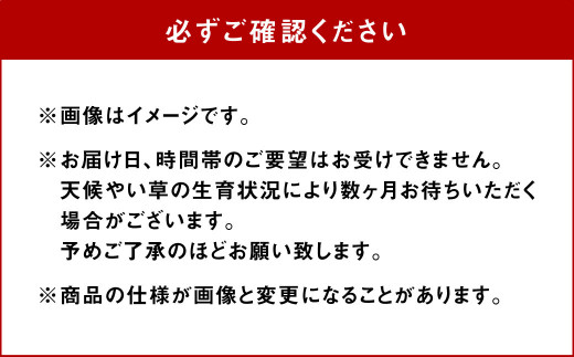 い草縄 草履（ぞうり）女性用（ナチュラル）サイズ（23～24cm目安）