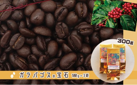 [№5341-0394]アームズメソッド焙煎　ガラパゴスの宝石Coffee 787217 - 香川県丸亀市