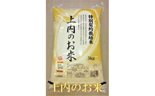 【A13-21】（令和5年度産）特別栽培米　上内のお米 396361 - 福岡県大牟田市