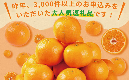 訳あり】人気の柑橘室戸産ポンカン２．５ｋｇ - 高知県室戸市 ...
