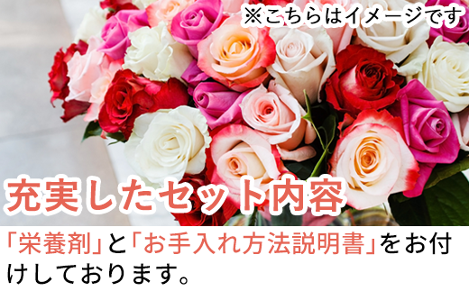 バラの花束 赤色 36本 長さ60cm以上を厳選 産地直送 摘み立て プレゼント用 最高品質 栄養剤付 22年 令和4年 佐賀県唐津市 ふるさとチョイス ふるさと納税サイト