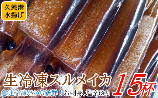 お刺身 いか焼き 炒めものに 三陸の生冷凍イカ15杯 久慈市久慈市 ふるさと納税 ふるさとチョイス