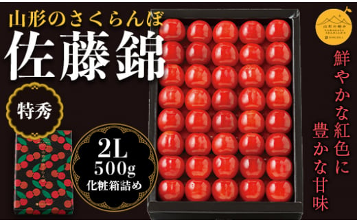 《先行予約》【山形の極み】さくらんぼ佐藤錦 500g 化粧詰 F2Y-5175 524317 - 山形県山形県庁