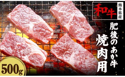 肥後のあか牛 焼肉用 500g 熊本県産和牛 G-3 牛肉 252731 - 熊本県水俣市