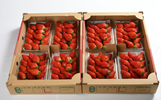 022-694 大分県産いちご約270g×8パック イチゴ 苺 セット