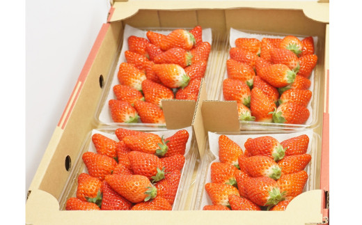 022-693 大分県産いちご約270g×4パック イチゴ 苺 セット