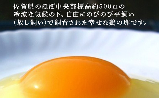 濃厚卵黄の自然卵。毎日のお料理からスイーツまで
色々な調理法でぜひお召し上がりください。