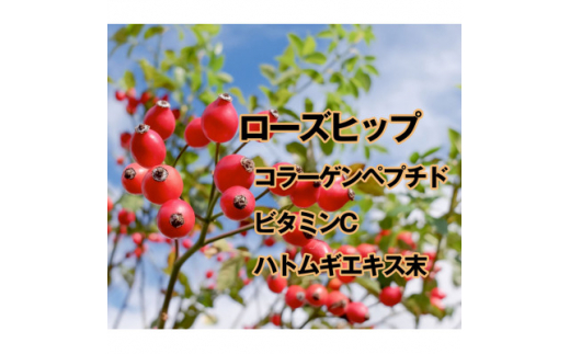 ファイン＞ローズヒップ 30包入 4個セット【1121698】 - 兵庫県上郡町