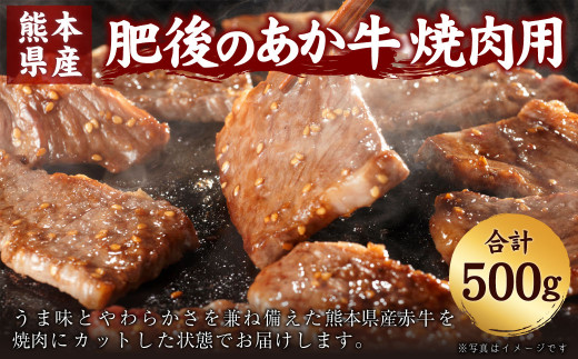 肥後のあか牛 焼肉用 500g 熊本県産 和牛 G 4 あか牛 国産 和牛 牛肉 熊本県美里町 ふるさと納税 ふるさとチョイス