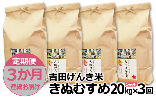 定期便3か月連続お届け】「吉田げんき米」きぬむすめ20kg（5kg×4