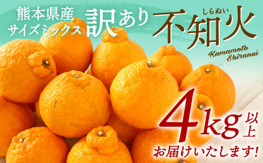 【2022年1月下旬より発送】【訳あり】不知火 4㎏以上 15玉～24玉 サイズミックス しらぬい 柑橘