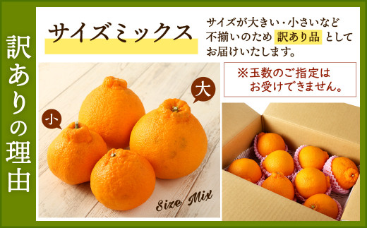 【2023年1月下旬発送開始】【訳あり】不知火 3kg サイズミックス しらぬい 柑橘