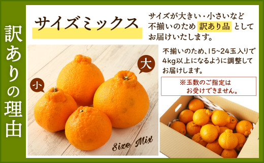 【2022年1月下旬より発送】【訳あり】不知火 4㎏以上 15玉～24玉 サイズミックス しらぬい 柑橘
