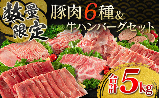 ≪数量限定≫豚肉6種＆牛ハンバーグセット(合計5kg) 肉 豚 牛肉 国産