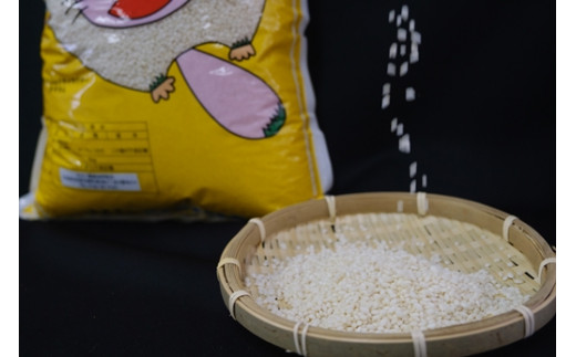 【日本最北のもち米生産地からお届け】はくちょうもち（もち米）5kg