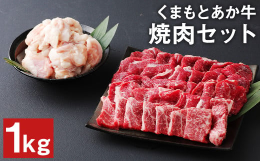 くまもと あか牛 焼肉 セット 計1kg（もも700g・ホルモン300g）和牛 牛肉 989614 - 熊本県菊池市