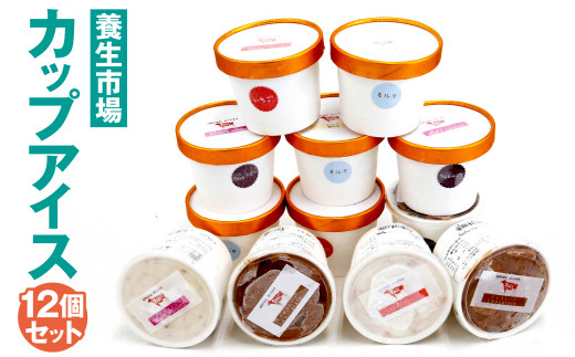 【養生市場】カップアイス 12個 セット ミルク チョコ いちご ラムレーズン 各3個 989979 - 熊本県菊池市