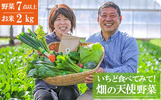 【 お試し単品】いちど食べてみて「畑の天使」野菜《お米2kg入り》 393538 - 熊本県南関町