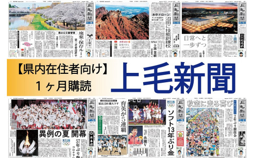 R3 66 配達先が群馬県内の方対象 上毛新聞 購読１ヶ月分 前橋市前橋市 ふるさと納税 ふるさとチョイス