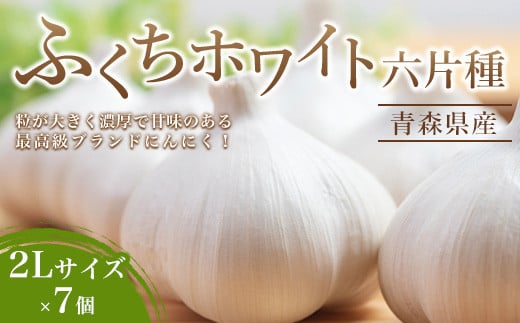 南部町営市場 直送 にんにく「ふくちホワイト六片種」（2Lサイズ×7個