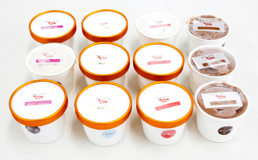 【養生市場】カップアイス 12個 セット ミルク チョコ いちご ラムレーズン 各3個