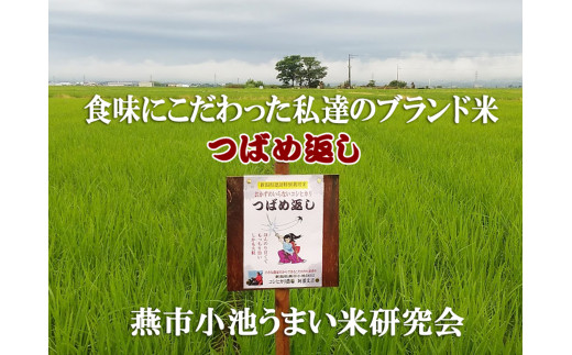 令和5年産】おかずのいらないコシヒカリ「つばめ返し」8kg FC012017