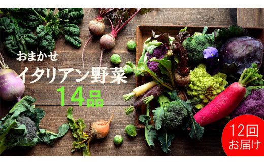 FN013  【定期便】八百屋さんでは買えないイタリアン野菜セット（14品）（12回コース）