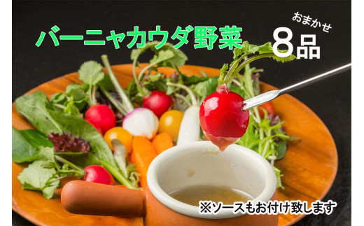 FN007   バーニャカウダ野菜セット（8品）ソースプレゼント★