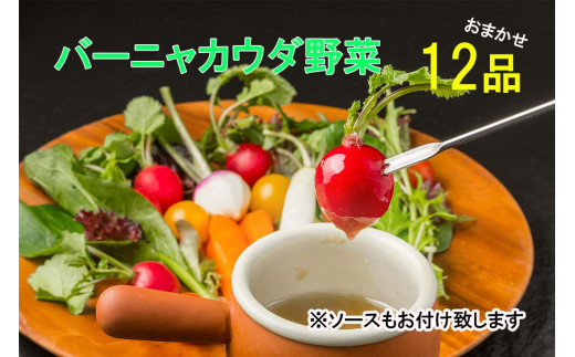 FN008   バーニャカウダ野菜セット（12品）ソースプレゼント★