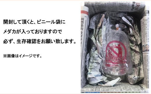 画像はイメージです
