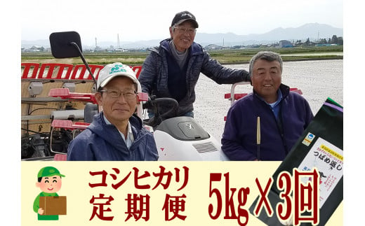 【令和7年産米予約受付中】おかずのいらないコシヒカリ「つばめ返し5kg」3か月定期便(月イチで計3回) FC045008