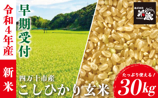 令和3年度産 早期米 無農薬 新米こしひかり 玄米20 