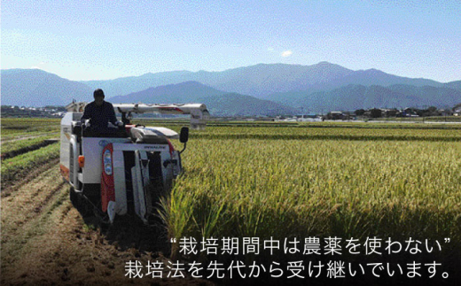 【全3回(月1回)定期便】 栽培期間中 農薬不使用のお米 ヒノヒカリ 5kg 糸島市 シーブ [AHC041] 米 定期便|シーブ