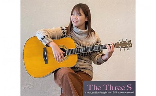 Three S アコースティックギター】SUZUKI VIOLIN W-450 - 愛知県大府市 
