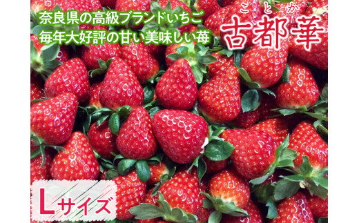 おかげさまで20周年 毎年大好評の甘い美味しい苺（レギュラーパックLサイズ）（古都華（ことか））◇※発送前電話連絡あり※発送時期指定不可※北海道・沖縄・離島への配送不可 760394 - 奈良県橿原市