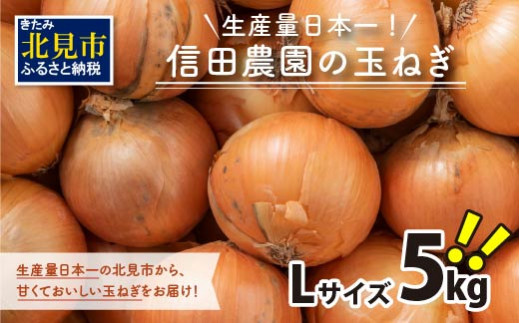 Z55-001】日本一の玉ねぎ生産地！信田農園の玉ねぎ 10kg - 北海道北見