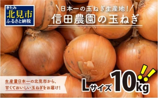 北海道北見市のふるさと納税 【2025年1月中お届け】日本一の玉ねぎ生産地！信田農園の玉ねぎ 10kg Lサイズ ( 信田農園 野菜 玉ねぎ 玉葱 たまねぎ タマネギ 10キロ 北見のたまねぎ オニオン 野菜 甘い ふるさと納税 )【124-0004-2024】