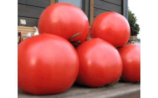 小鈴ファームのオリジナルトマト 約2.8kg