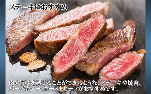 ステーキ、焼肉やバーベキュー、ローストビーフといった、肉そのものを味わえる料理に適しています。