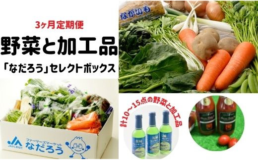 AG-24 【3ヶ月定期便】野菜と加工品「なだろう」セレクトボックス