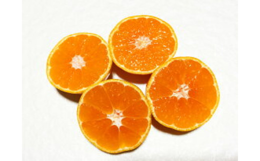 ZJ1015n_【ご家庭用 極早生】和歌山 有田ゆら早生みかん 約10kg (S、M、Lサイズ)【湯浅町】