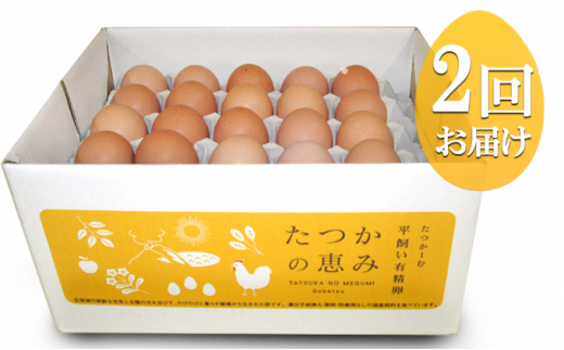 №5724-0557]平飼い有精卵『たつかの恵み』40個×2ヶ月連続お届け