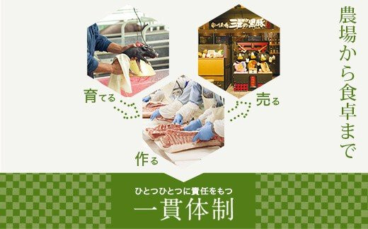 アイテムID:459091の画像2枚目
