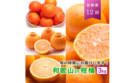 ZH6901_厳選★季節の柑橘定期便 3kg【毎月・計12回】【頒布会】