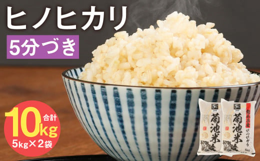 熊本県菊池産 ヒノヒカリ 5kg×2袋 計10kg 5分づき米 お米 分づき米 令和5年産