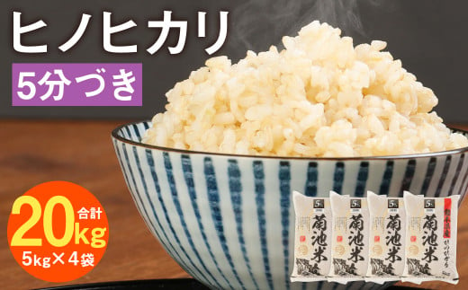 熊本県菊池産 ヒノヒカリ 5kg×4袋 計20kg 5分づき米 お米 分づき米 令